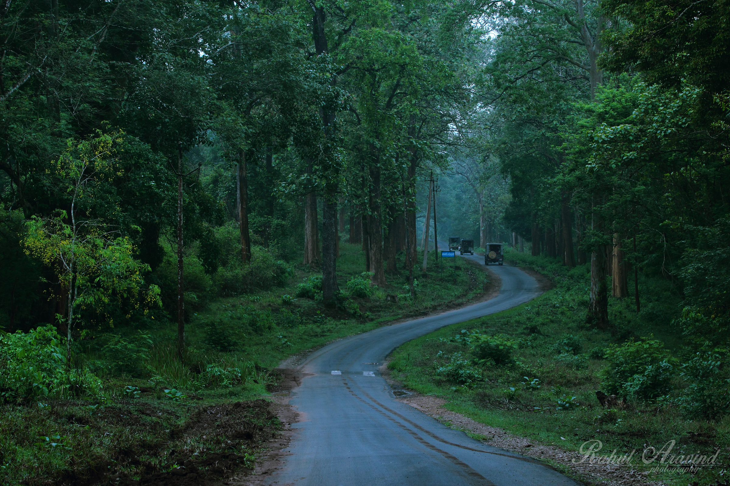 Nagarhole